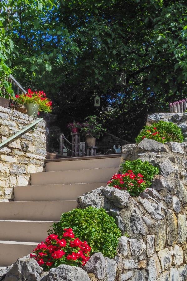 Vikos Hotel Monodendri Dış mekan fotoğraf