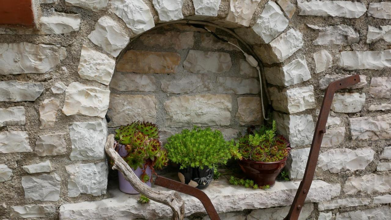 Vikos Hotel Monodendri Dış mekan fotoğraf