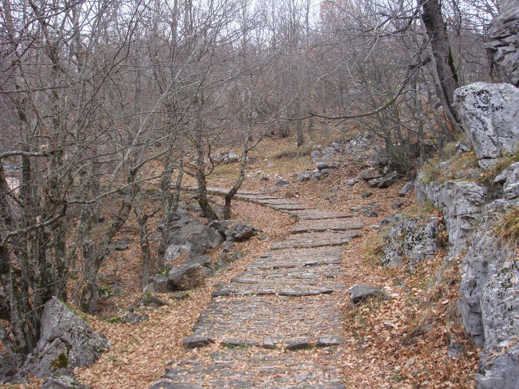 Vikos Hotel Monodendri Dış mekan fotoğraf