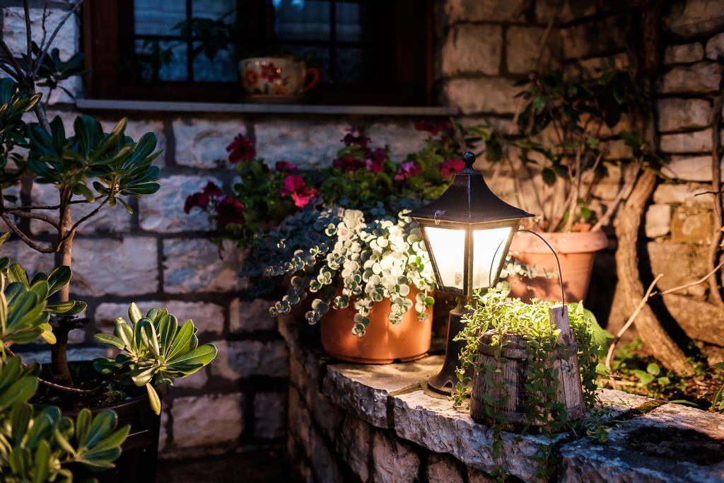 Vikos Hotel Monodendri Dış mekan fotoğraf